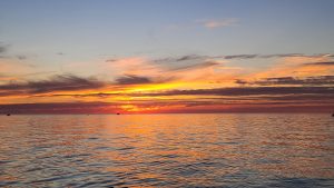 Discover the Charm of St. Joseph, Michigan: A Place to Live, Visit, Buy a Home, or Rent an Airbnb